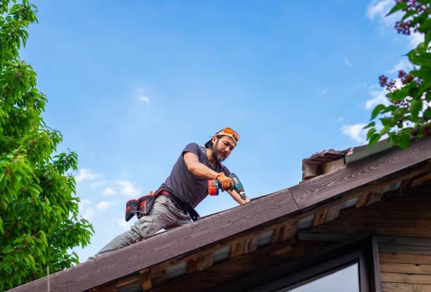 Reliable Coldwater, OH Roofing service Solutions